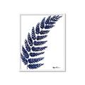 Picture of Fern on white I _GroupedProduct_Rectangle_Portrait_Framed_Matted_