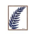 Picture of Fern on white I _GroupedProduct_Rectangle_Portrait_Framed_Matted_