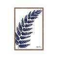 Picture of Fern on white I _GroupedProduct_Rectangle_Portrait_Framed_Matted_