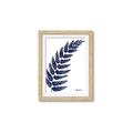 Picture of Fern on white I _GroupedProduct_Rectangle_Portrait_Framed_Matted_