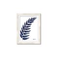 Picture of Fern on white I _GroupedProduct_Rectangle_Portrait_Framed_Matted_