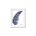 Picture of Fern on white I _GroupedProduct_Rectangle_Portrait_Framed_Matted_