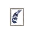Picture of Fern on white I _GroupedProduct_Rectangle_Portrait_Framed_Matted_
