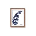 Picture of Fern on white I _GroupedProduct_Rectangle_Portrait_Framed_Matted_