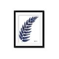 Picture of Fern on white I _GroupedProduct_Rectangle_Portrait_Framed_Matted_