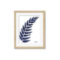 Picture of Fern on white I _GroupedProduct_Rectangle_Portrait_Framed_Matted_
