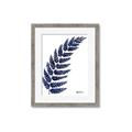 Picture of Fern on white I _GroupedProduct_Rectangle_Portrait_Framed_Matted_