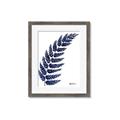 Picture of Fern on white I _GroupedProduct_Rectangle_Portrait_Framed_Matted_