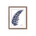 Picture of Fern on white I _GroupedProduct_Rectangle_Portrait_Framed_Matted_