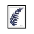 Picture of Fern on white I _GroupedProduct_Rectangle_Portrait_Framed_Matted_