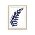Picture of Fern on white I _GroupedProduct_Rectangle_Portrait_Framed_Matted_