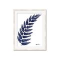 Picture of Fern on white I _GroupedProduct_Rectangle_Portrait_Framed_Matted_