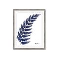 Picture of Fern on white I _GroupedProduct_Rectangle_Portrait_Framed_Matted_