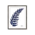 Picture of Fern on white I _GroupedProduct_Rectangle_Portrait_Framed_Matted_