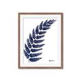 Picture of Fern on white I _GroupedProduct_Rectangle_Portrait_Framed_Matted_