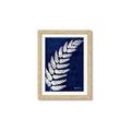 Picture of Fern on blue I  _GroupedProduct_Rectangle_Portrait_Framed_Matted_