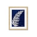 Picture of Fern on blue I  _GroupedProduct_Rectangle_Portrait_Framed_Matted_