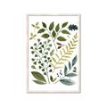 Picture of Foliage _GroupedProduct_Rectangle_Portrait_Framed_Matted_