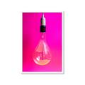 Picture of Hot Pink Light Bulb _GroupedProduct_Rectangle_Portrait_Photography _GroupedProduct_Rectangle_Portrait_Framed_Matted_