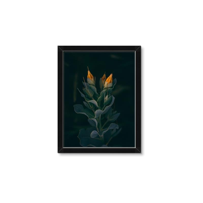 Picture of Tropical Bliss _GroupedProduct_Rectangle_Portrait_Photography _GroupedProduct_Rectangle_Portrait_Framed_Matted_