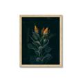 Picture of Tropical Bliss _GroupedProduct_Rectangle_Portrait_Photography _GroupedProduct_Rectangle_Portrait_Framed_Matted_