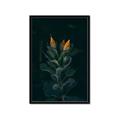 Picture of Tropical Bliss _GroupedProduct_Rectangle_Portrait_Photography _GroupedProduct_Rectangle_Portrait_Framed_Matted_