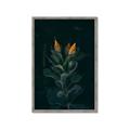 Picture of Tropical Bliss _GroupedProduct_Rectangle_Portrait_Photography _GroupedProduct_Rectangle_Portrait_Framed_Matted_