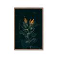 Picture of Tropical Bliss _GroupedProduct_Rectangle_Portrait_Photography _GroupedProduct_Rectangle_Portrait_Framed_Matted_