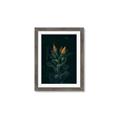 Picture of Tropical Bliss _GroupedProduct_Rectangle_Portrait_Photography _GroupedProduct_Rectangle_Portrait_Framed_Matted_