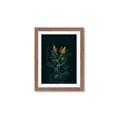 Picture of Tropical Bliss _GroupedProduct_Rectangle_Portrait_Photography _GroupedProduct_Rectangle_Portrait_Framed_Matted_