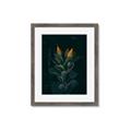 Picture of Tropical Bliss _GroupedProduct_Rectangle_Portrait_Photography _GroupedProduct_Rectangle_Portrait_Framed_Matted_