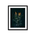 Picture of Tropical Bliss _GroupedProduct_Rectangle_Portrait_Photography _GroupedProduct_Rectangle_Portrait_Framed_Matted_