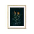 Picture of Tropical Bliss _GroupedProduct_Rectangle_Portrait_Photography _GroupedProduct_Rectangle_Portrait_Framed_Matted_