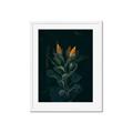 Picture of Tropical Bliss _GroupedProduct_Rectangle_Portrait_Photography _GroupedProduct_Rectangle_Portrait_Framed_Matted_