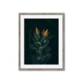 Picture of Tropical Bliss _GroupedProduct_Rectangle_Portrait_Photography _GroupedProduct_Rectangle_Portrait_Framed_Matted_