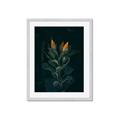 Picture of Tropical Bliss _GroupedProduct_Rectangle_Portrait_Photography _GroupedProduct_Rectangle_Portrait_Framed_Matted_
