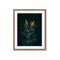 Picture of Tropical Bliss _GroupedProduct_Rectangle_Portrait_Photography _GroupedProduct_Rectangle_Portrait_Framed_Matted_