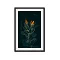 Picture of Tropical Bliss _GroupedProduct_Rectangle_Portrait_Photography _GroupedProduct_Rectangle_Portrait_Framed_Matted_
