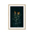 Picture of Tropical Bliss _GroupedProduct_Rectangle_Portrait_Photography _GroupedProduct_Rectangle_Portrait_Framed_Matted_