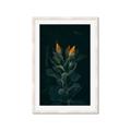 Picture of Tropical Bliss _GroupedProduct_Rectangle_Portrait_Photography _GroupedProduct_Rectangle_Portrait_Framed_Matted_