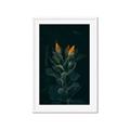 Picture of Tropical Bliss _GroupedProduct_Rectangle_Portrait_Photography _GroupedProduct_Rectangle_Portrait_Framed_Matted_
