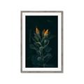 Picture of Tropical Bliss _GroupedProduct_Rectangle_Portrait_Photography _GroupedProduct_Rectangle_Portrait_Framed_Matted_