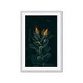 Picture of Tropical Bliss _GroupedProduct_Rectangle_Portrait_Photography _GroupedProduct_Rectangle_Portrait_Framed_Matted_