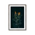 Picture of Tropical Bliss _GroupedProduct_Rectangle_Portrait_Photography _GroupedProduct_Rectangle_Portrait_Framed_Matted_