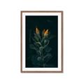 Picture of Tropical Bliss _GroupedProduct_Rectangle_Portrait_Photography _GroupedProduct_Rectangle_Portrait_Framed_Matted_