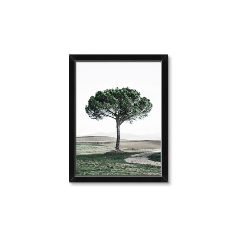 Picture of The Only Tree _GroupedProduct_Rectangle_Portrait_Photography _GroupedProduct_Rectangle_Portrait_Framed_Matted_