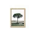 Picture of The Only Tree _GroupedProduct_Rectangle_Portrait_Photography _GroupedProduct_Rectangle_Portrait_Framed_Matted_