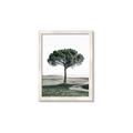 Picture of The Only Tree _GroupedProduct_Rectangle_Portrait_Photography _GroupedProduct_Rectangle_Portrait_Framed_Matted_