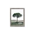 Picture of The Only Tree _GroupedProduct_Rectangle_Portrait_Photography _GroupedProduct_Rectangle_Portrait_Framed_Matted_