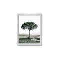 Picture of The Only Tree _GroupedProduct_Rectangle_Portrait_Photography _GroupedProduct_Rectangle_Portrait_Framed_Matted_